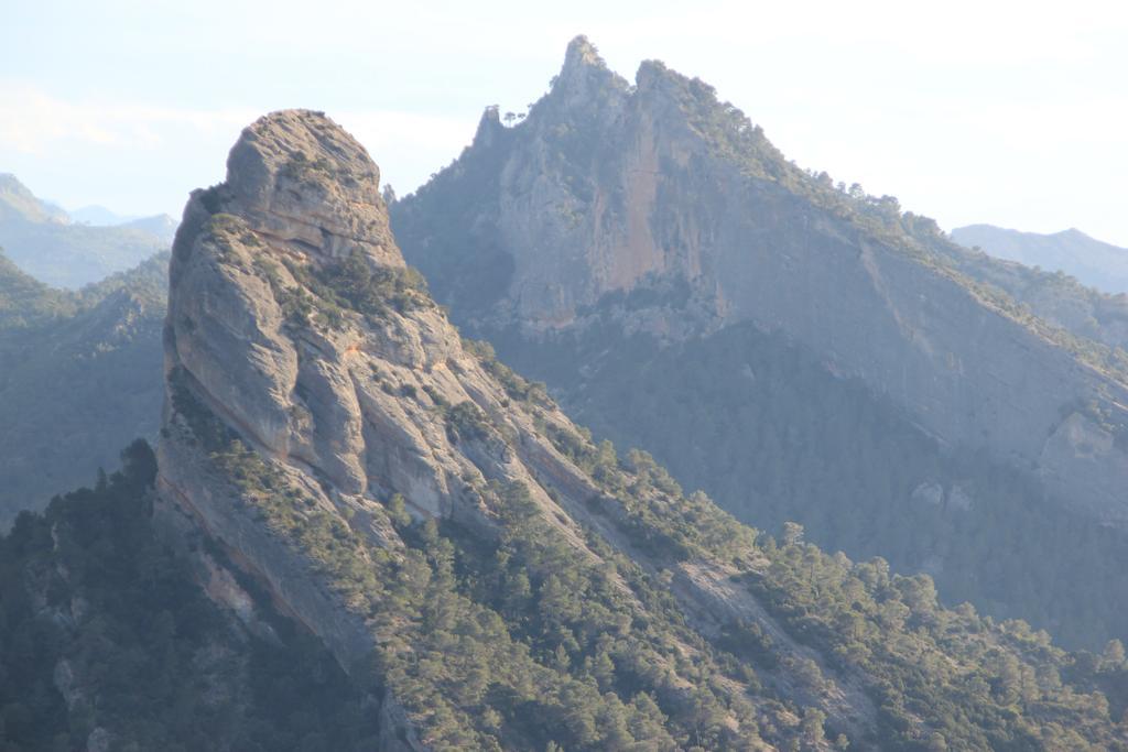 Bot Ca La Leonor, Ecoturisme Terra Altaヴィラ 部屋 写真