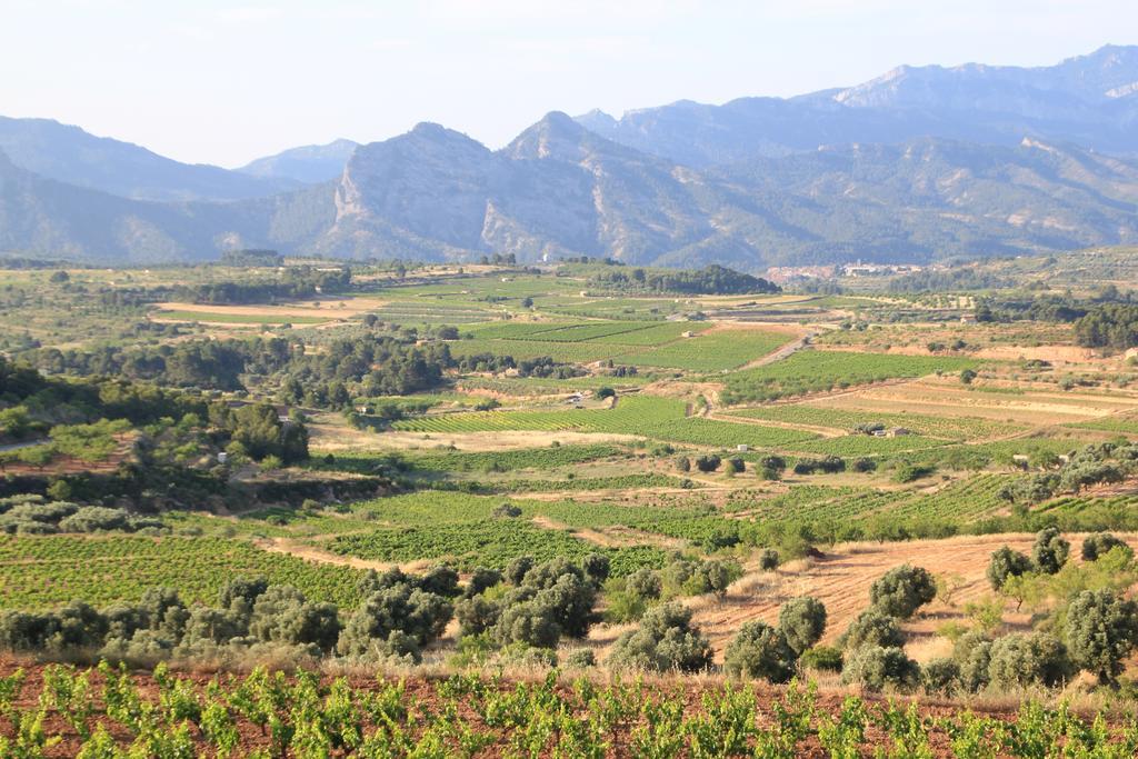 Bot Ca La Leonor, Ecoturisme Terra Altaヴィラ 部屋 写真